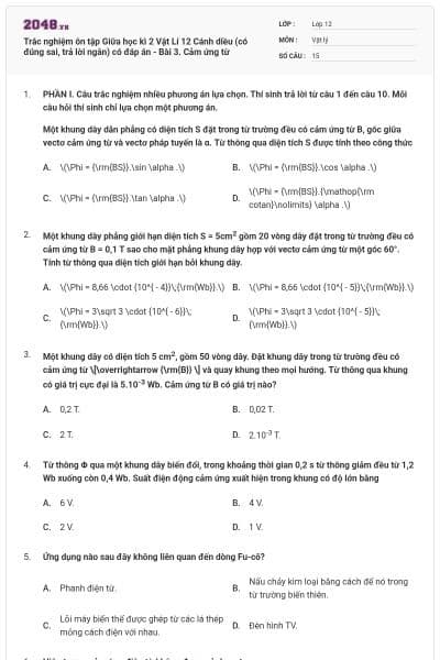 Trắc nghiệm ôn tập Giữa học kì 2 Vật Lí 12 Cánh diều (có đúng sai, trả lời ngắn) có đáp án - Bài 3. Cảm ứng từ