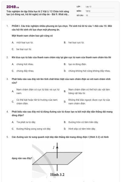 Trắc nghiệm ôn tập Giữa học kì 2 Vật Lí 12 Chân trời sáng tạo (có đúng sai, trả lời ngắn) có đáp án - Bài 9. Khái niệm từ trường