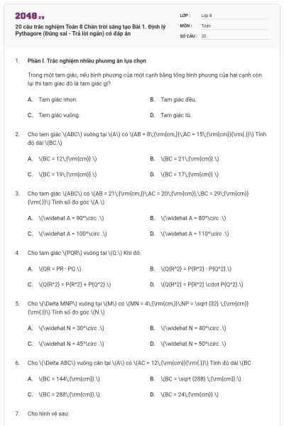 20 câu trắc nghiệm Toán 8 Chân trời sáng tạo Bài 1. Định lý Pythagore (Đúng sai - Trả lời ngắn) có đáp án