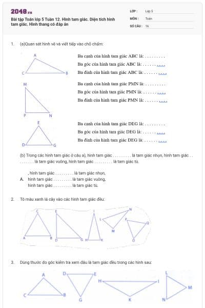 Bài tập Toán lớp 5 Tuần 12. Hình tam giác. Diện tích hình tam giác. Hình thang có đáp án
