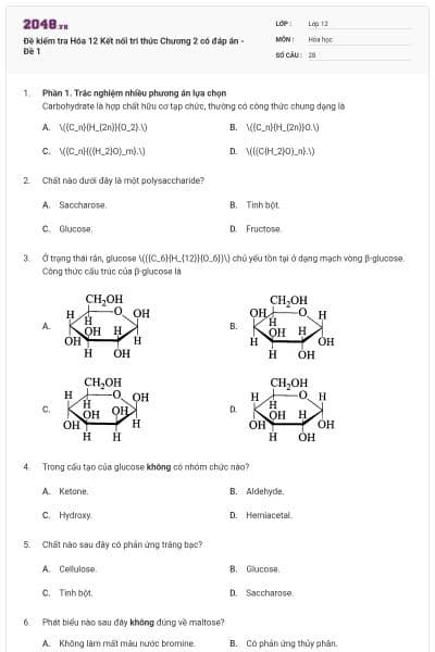 Đề kiểm tra Hóa 12 Kết nối tri thức Chương 2 có đáp án - Đề 1