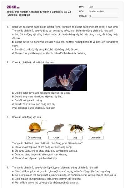 10 câu trắc nghiệm Khoa học tự nhiên 6 Cánh diều Bài 23 (Đúng sai) có đáp án