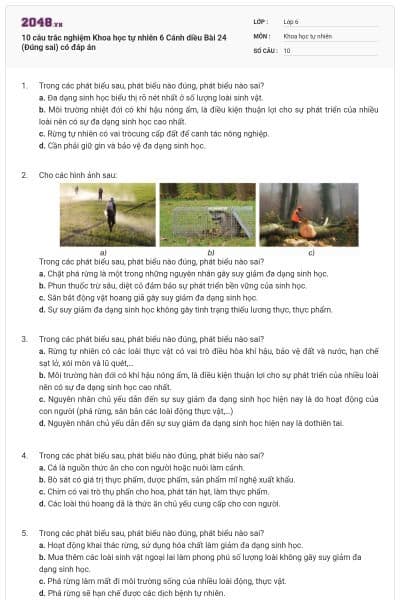 10 câu trắc nghiệm Khoa học tự nhiên 6 Cánh diều Bài 24 (Đúng sai) có đáp án