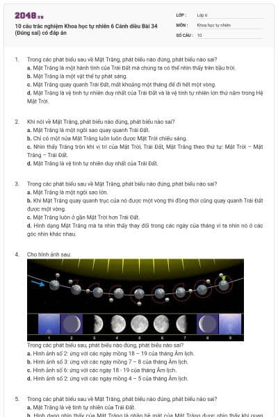 10 câu trắc nghiệm Khoa học tự nhiên 6 Cánh diều Bài 34 (Đúng sai) có đáp án