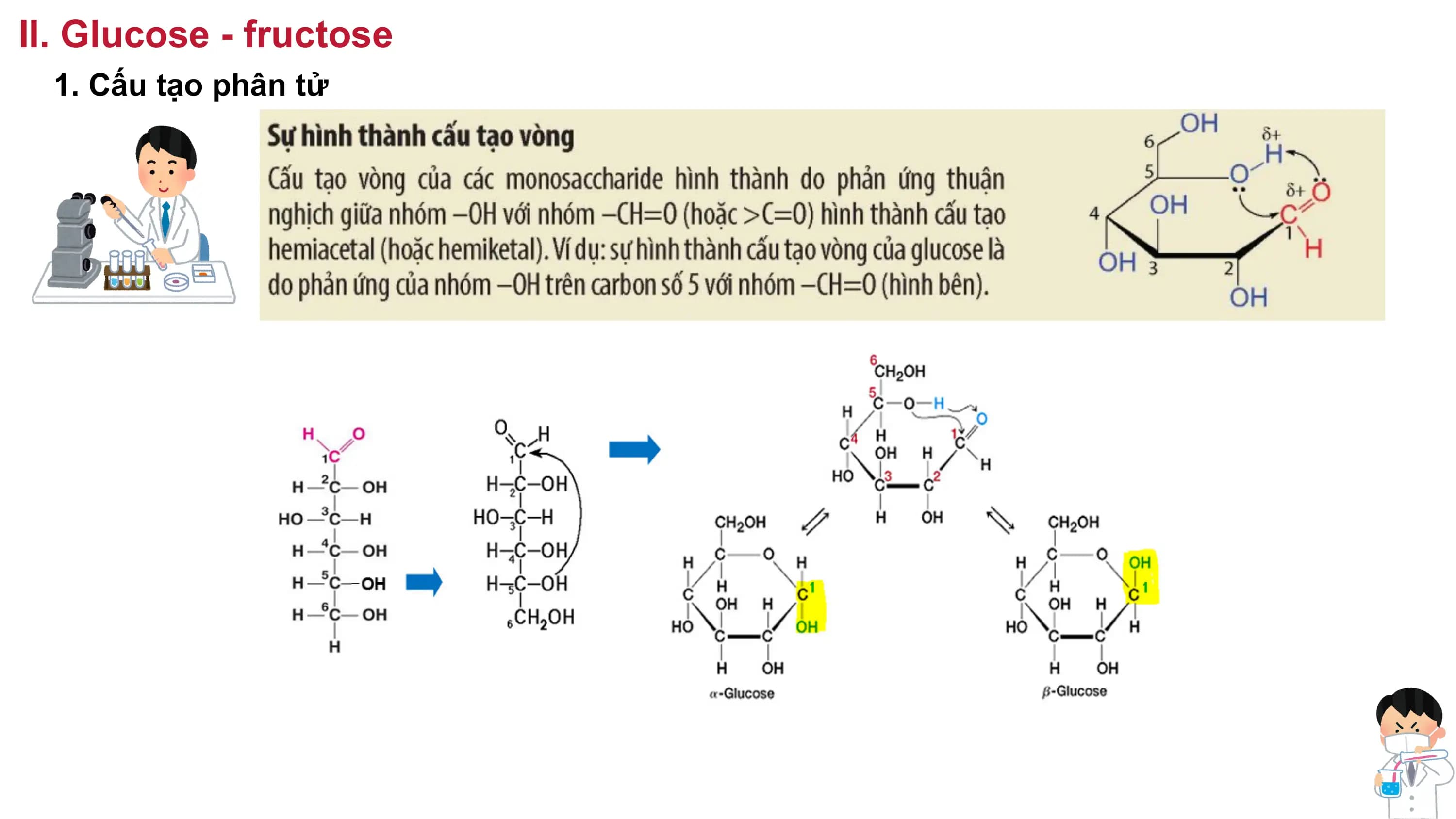II. Glucose - fructose
1. Cấu tạo phân tử