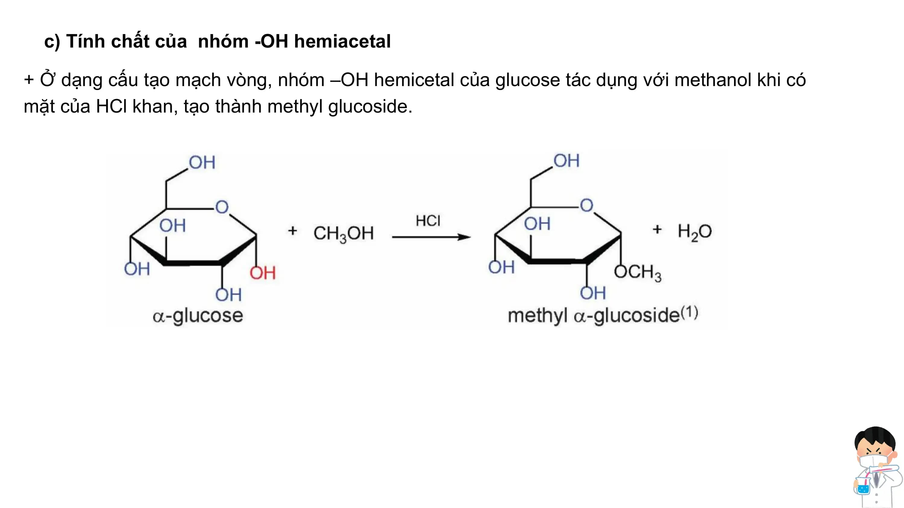 c) Tính chất của nhóm -OH hemiacetal
+ Ở dạng cấu tạo mạch vòng, nhóm –OH hemicetal của glucose tác dụng với methanol khi có
mặt của HCl khan, tạo thành methyl glucoside.