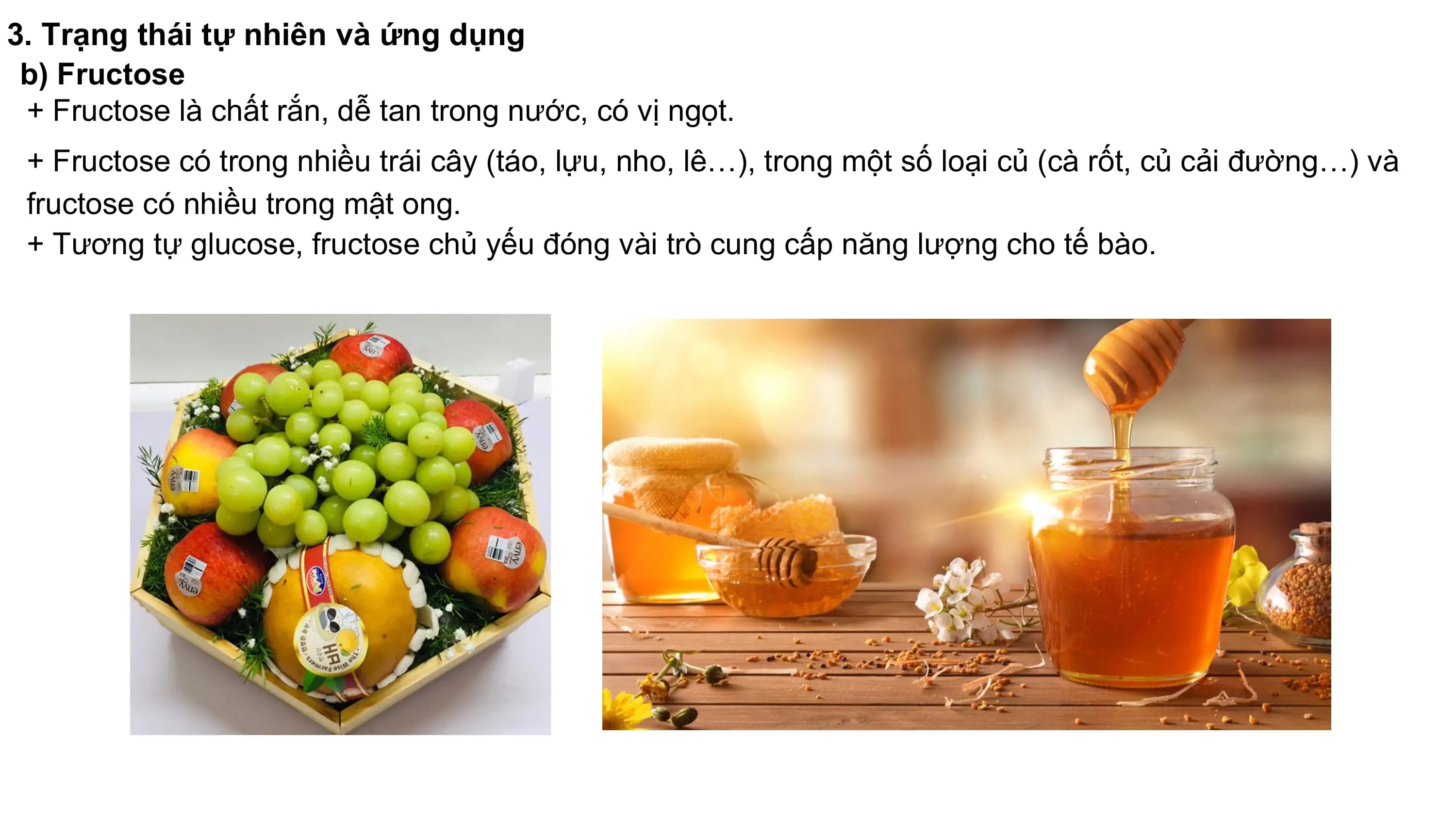 3. Trạng thái tự nhiên và ứng dụng
b) Fructose
+ Fructose là chất rắn, dễ tan trong nước, có vị ngọt.
+ Fructose có trong nhiều trái cây (táo, lựu, nho, lê…), trong một số loại củ (cà rốt, củ cải đường…) và
fructose có nhiều trong mật ong.
+ Tương tự glucose, fructose chủ yếu đóng vài trò cung cấp năng lượng cho tế bào.