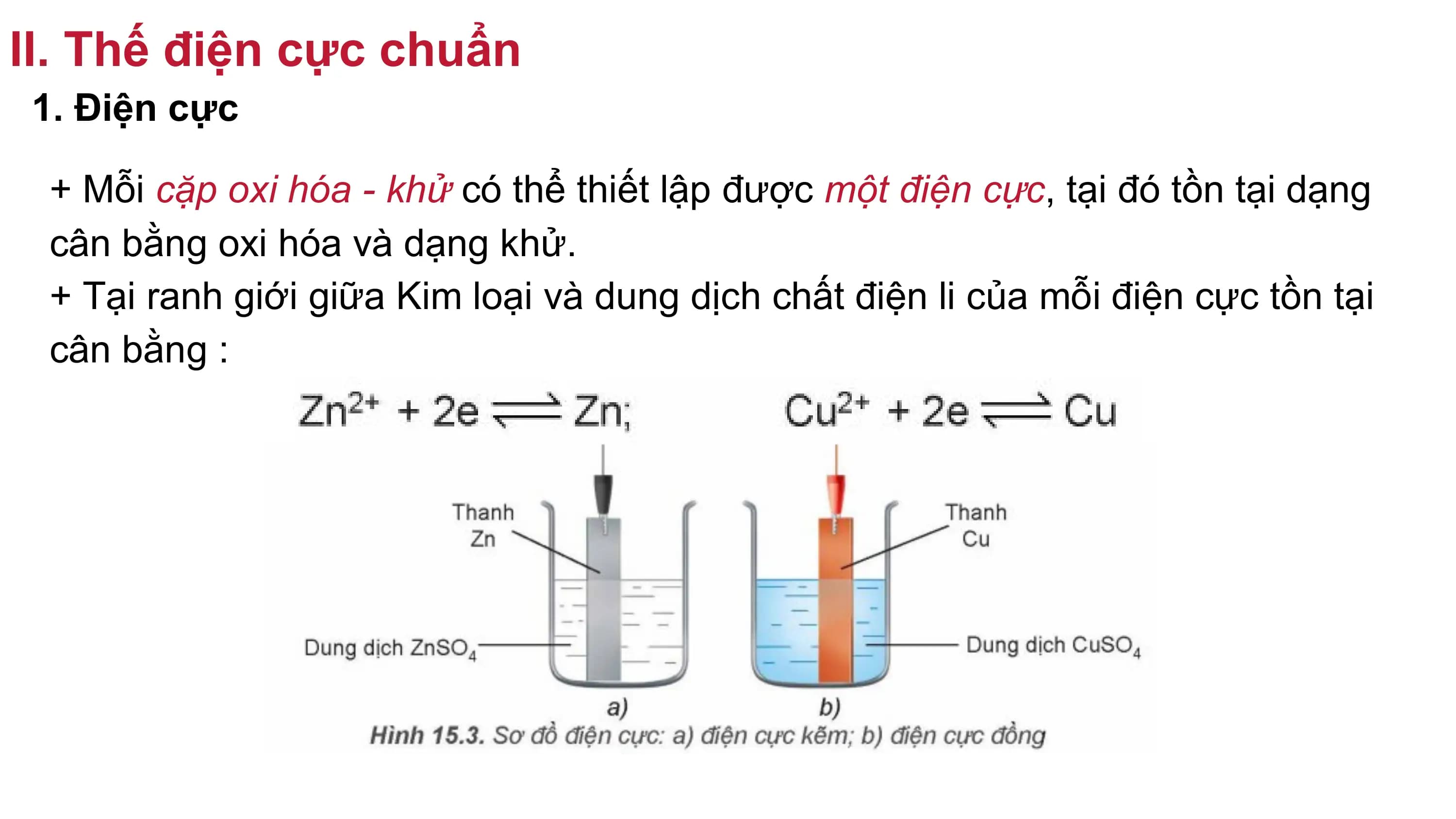 II. Thế điện cực chuẩn
1. Điện cực
+ Mỗi cặp oxi hóa - khử có thể thiết lập được một điện cực, tại đó tồn tại dạng
cân bằng oxi hóa và dạng khử.
+ Tại ranh giới giữa Kim loại và dung dịch chất điện li của mỗi điện cực tồn tại
cân bằng :