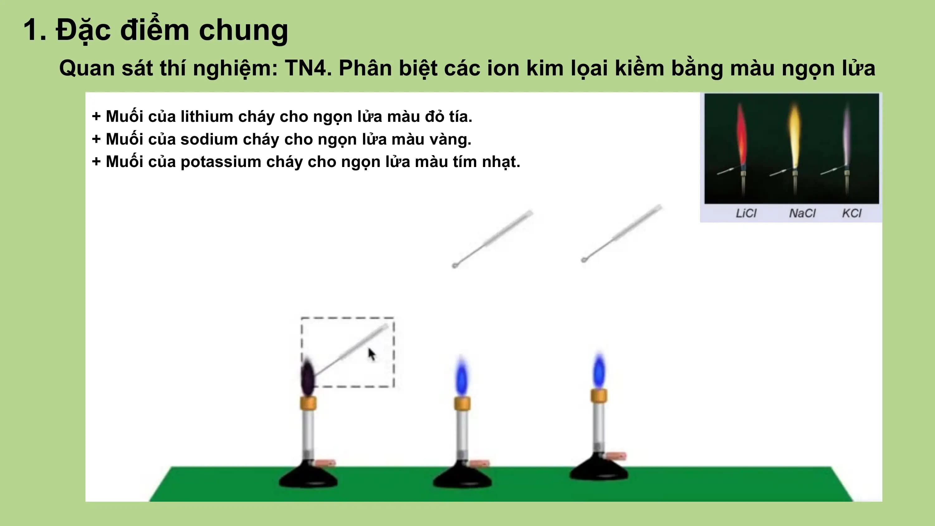 1. Đặc điểm chung
Quan sát thí nghiệm: TN4. Phân biệt các ion kim lọai kiềm bằng màu ngọn lửa
+ Muối của lithium cháy cho ngọn lửa màu đỏ tía.
+ Muối của sodium cháy cho ngọn lửa màu vàng.
+ Muối của potassium cháy cho ngọn lửa màu tím nhạt.