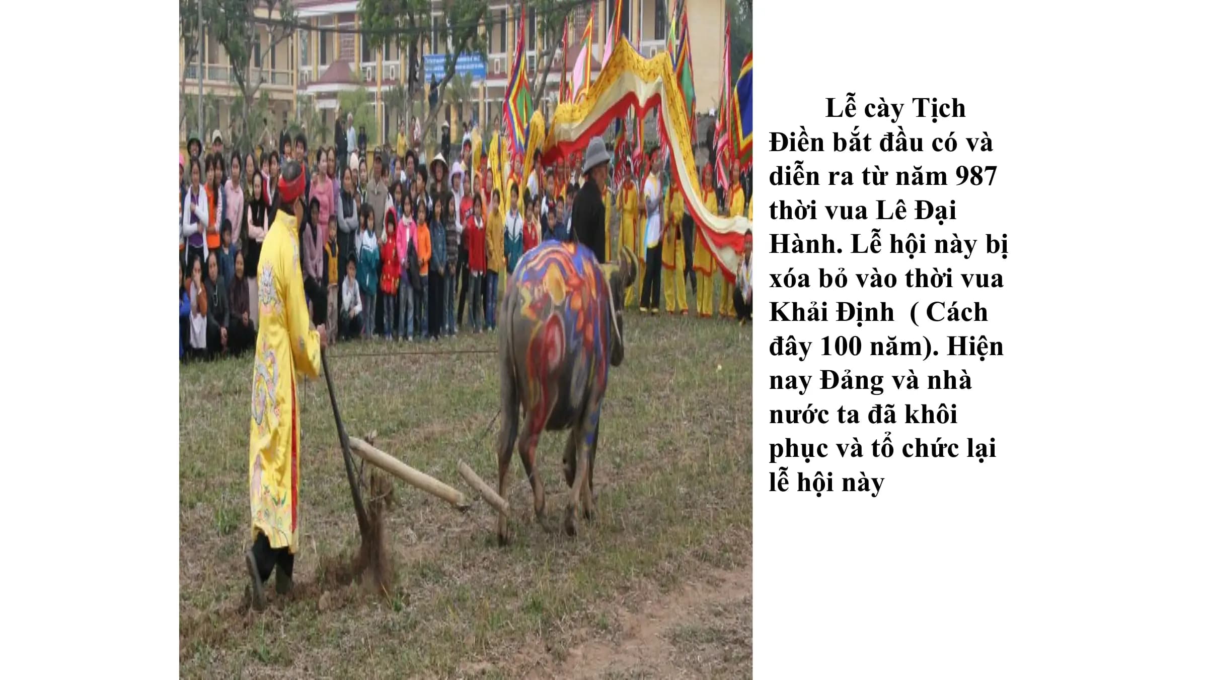 Lễ cày Tịch
Điền bắt đầu có và
diễn ra từ năm 987
thời vua Lê Đại
Hành. Lễ hội này bị
xóa bỏ vào thời vua
Khải Định ( Cách
đây 100 năm). Hiện
nay Đảng và nhà
nước ta đã khôi
phục và tổ chức lại
lễ hội này
