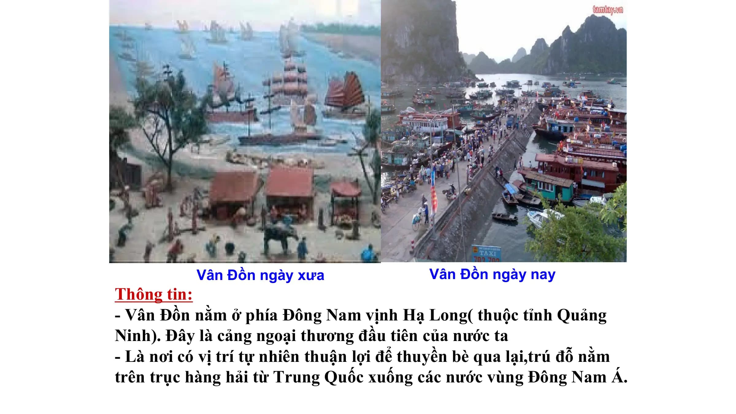 Vân Đồn ngày xưa Vân Đồn ngày nay
Thông tin:
- Vân Đồn nằm ở phía Đông Nam vịnh Hạ Long( thuộc tỉnh Quảng
Ninh). Đây là cảng ngoại thương đầu tiên của nước ta
- Là nơi có vị trí tự nhiên thuận lợi để thuyền bè qua lại,trú đỗ nằm
trên trục hàng hải từ Trung Quốc xuống các nước vùng Đông Nam Á.