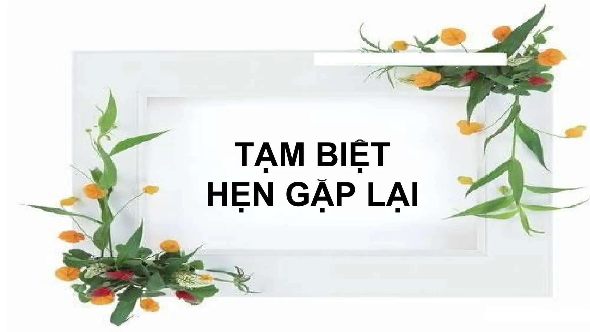 TẠM BIỆT
HẸN GẶP LẠI