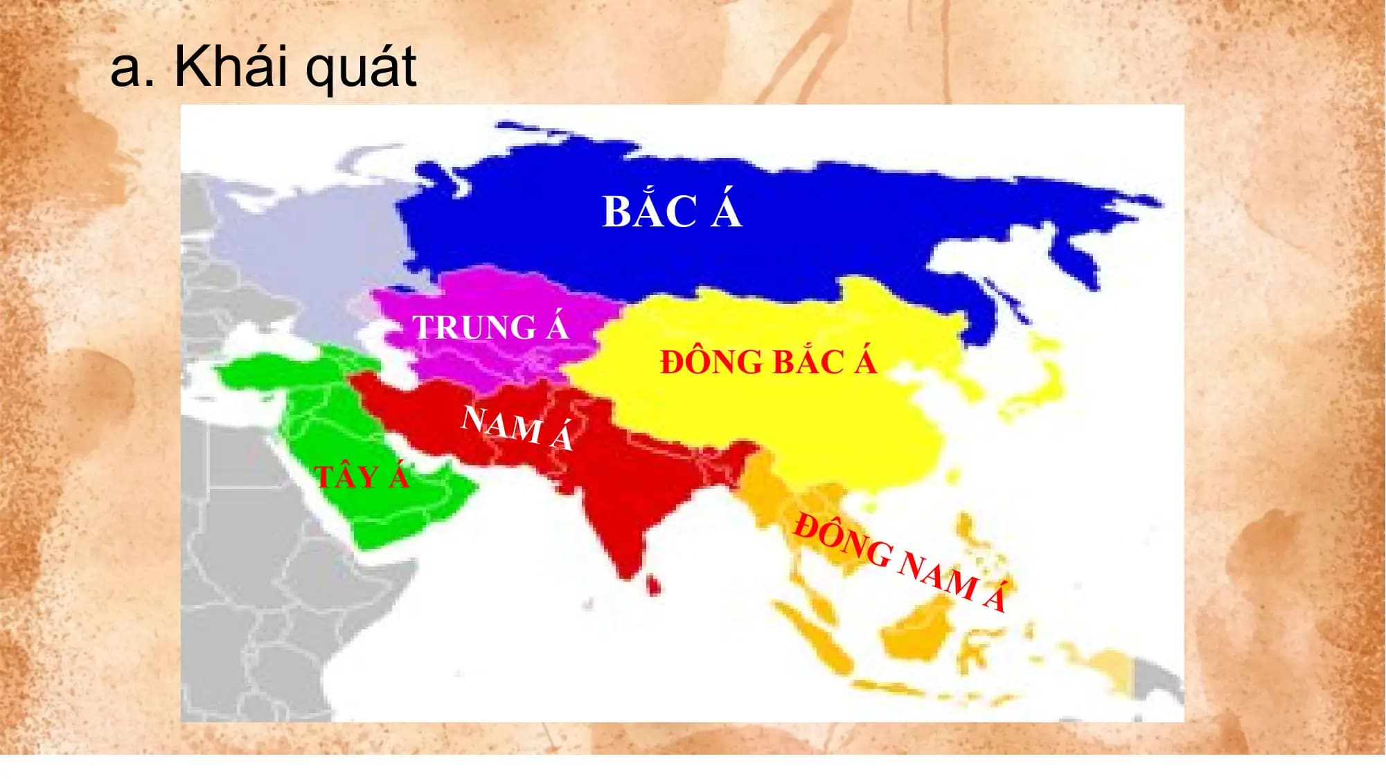 a. Khái quát
BẮC Á
TRUNG Á
ĐÔNG BẮC Á
NAM
Á
TÂY Á
ĐÔ
NG
NA
MÁ