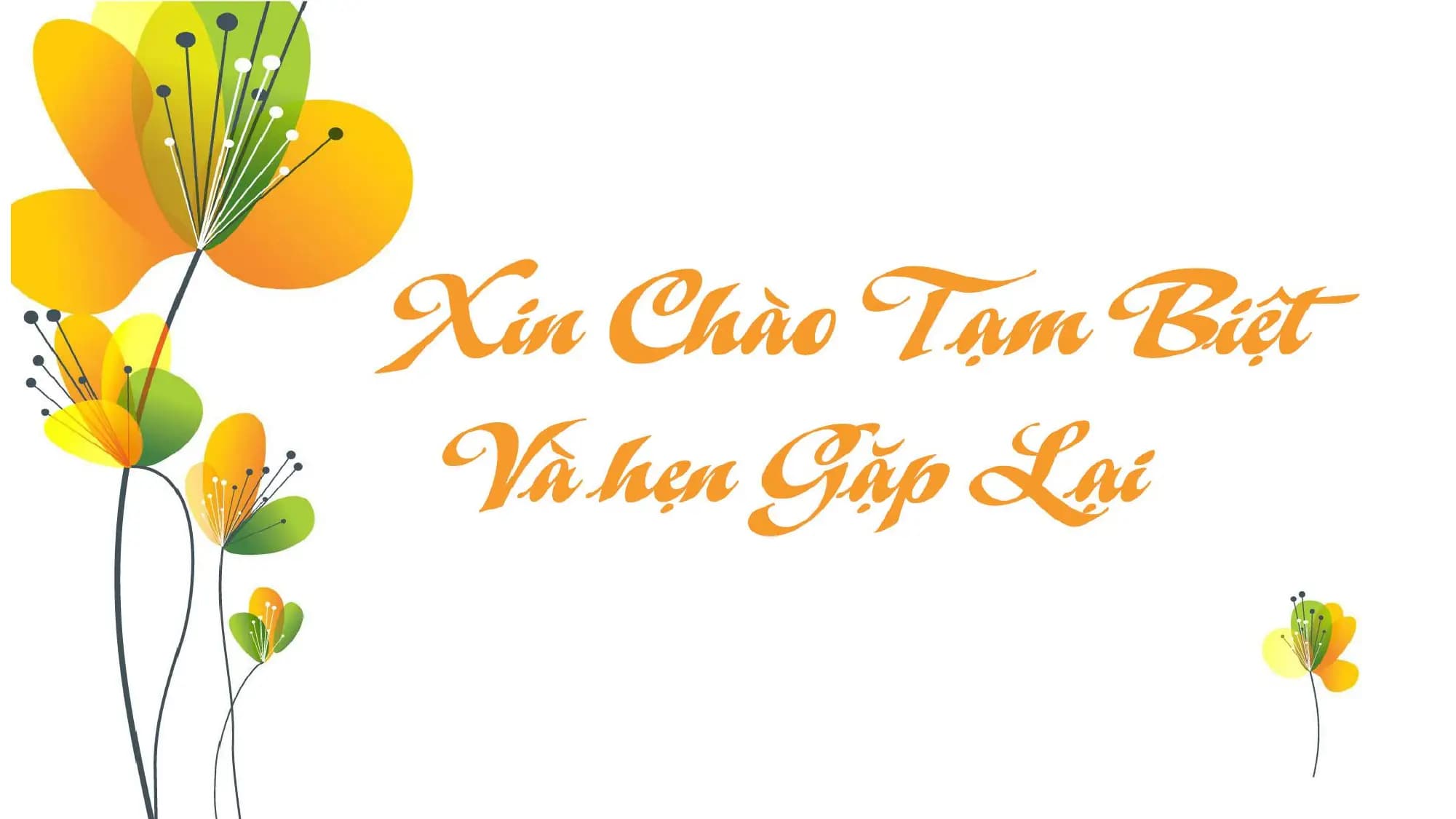 Nội dung nhập