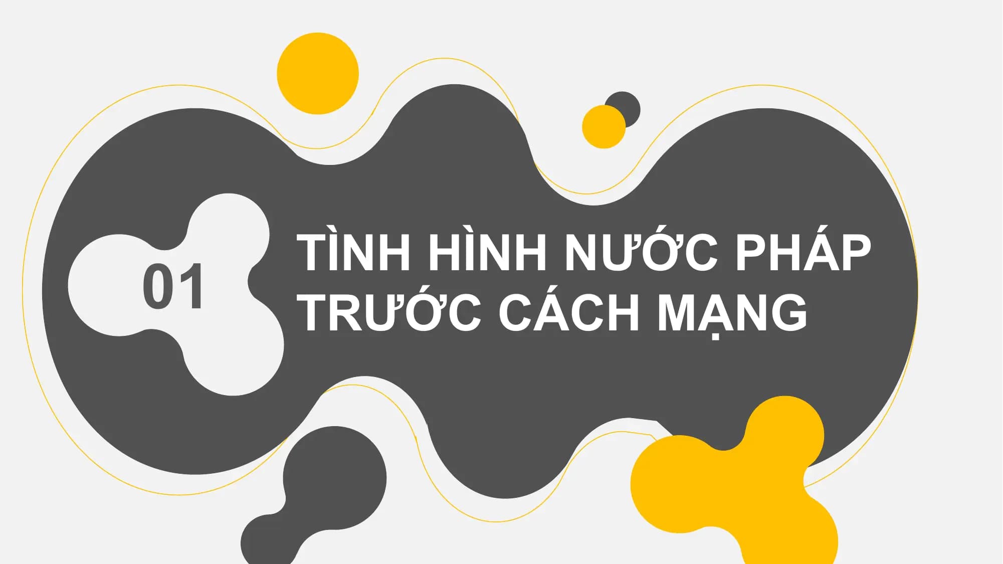 TÌNH HÌNH NƯỚC PHÁP
01 TRƯỚC CÁCH MẠNG