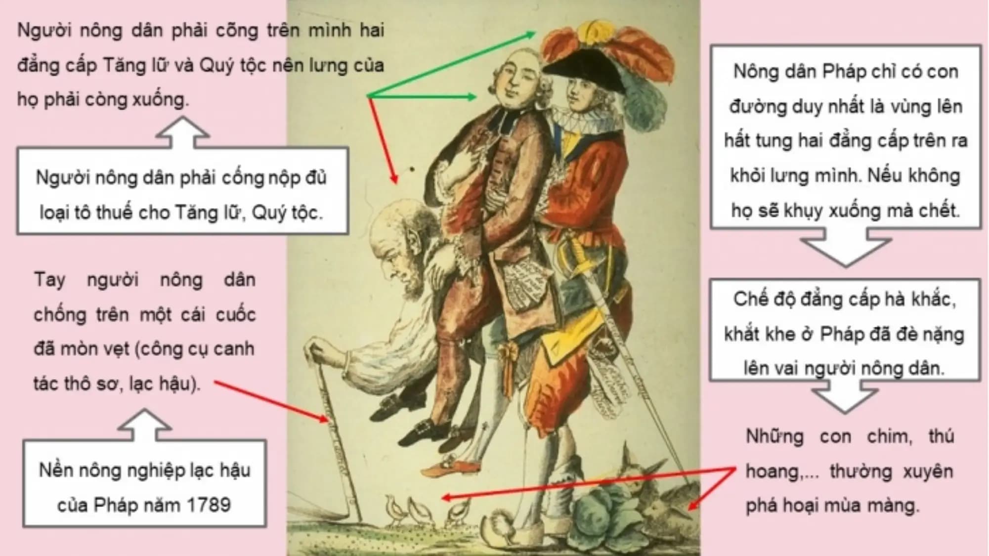 Nội dung nhập