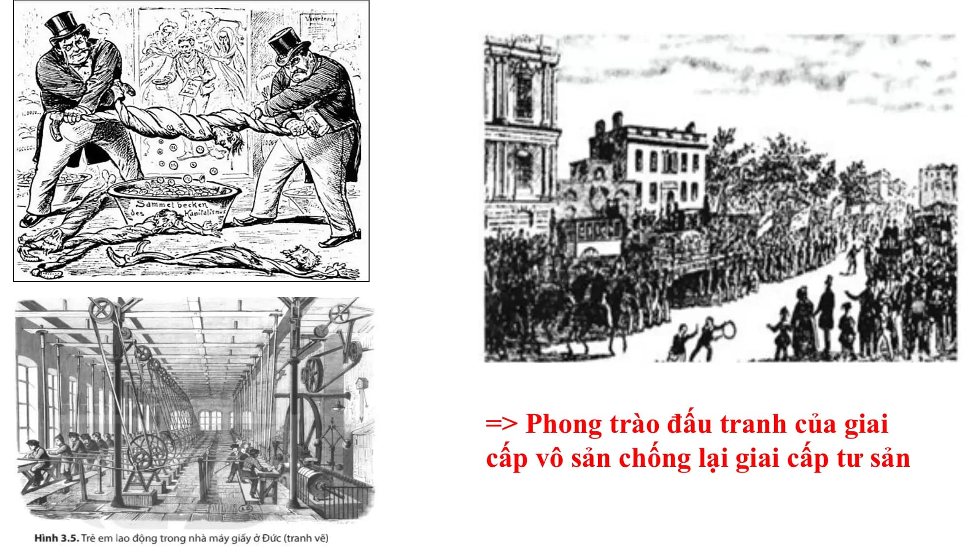 => Phong trào đấu tranh của giai
cấp vô sản chống lại giai cấp tư sản