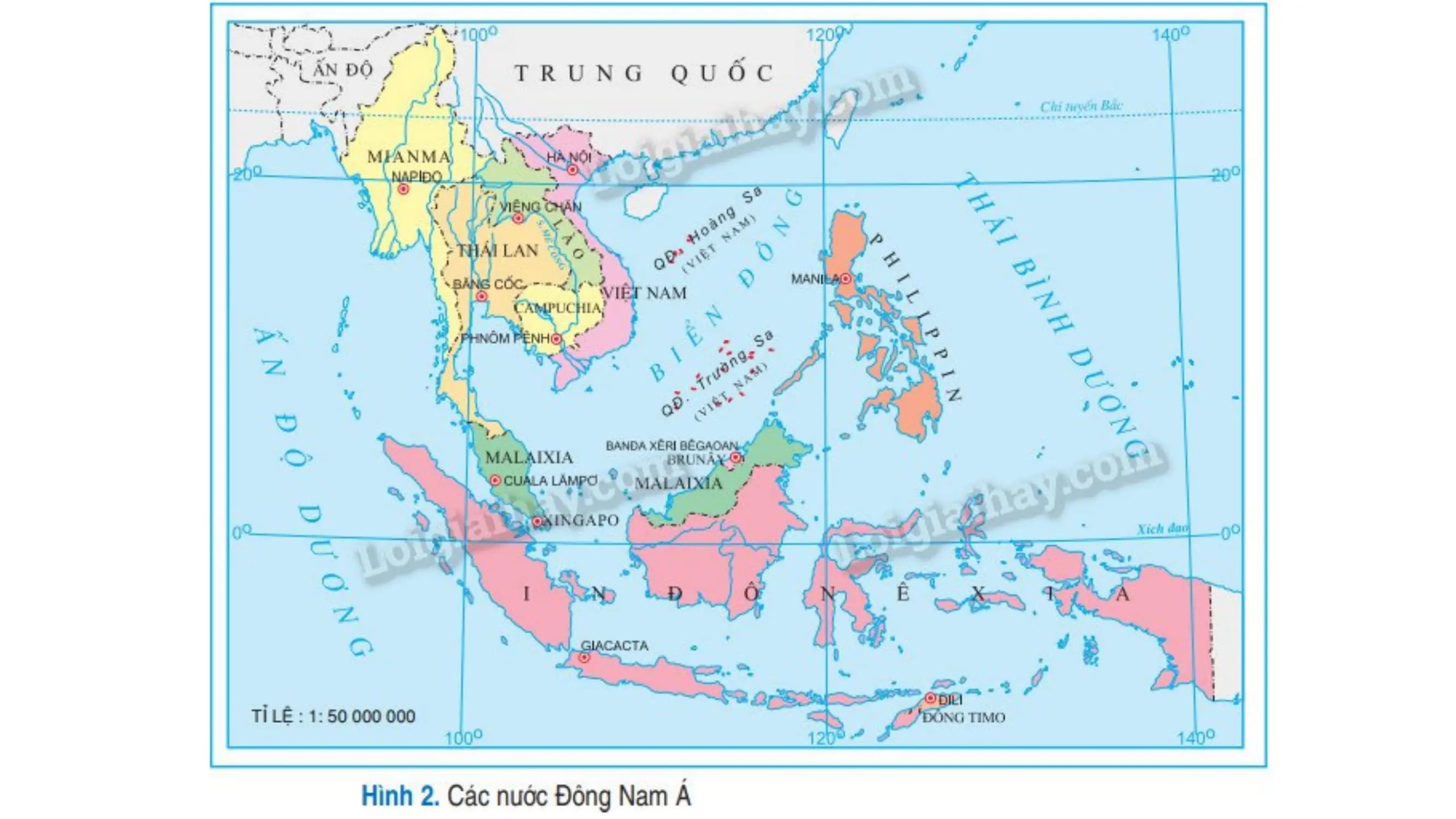 Nội dung nhập