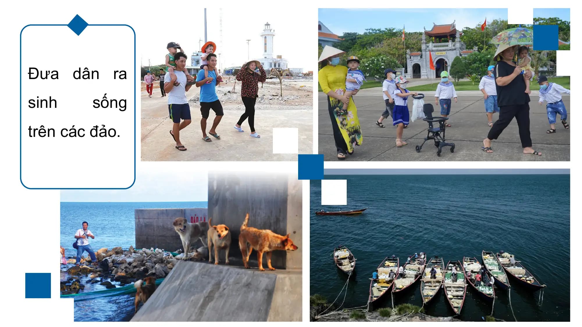 Đưa dân ra
sinh sống
trên các đảo.