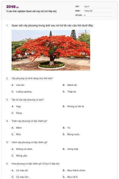 5 câu trắc nghiệm Quan sát cây cối (có đáp án)