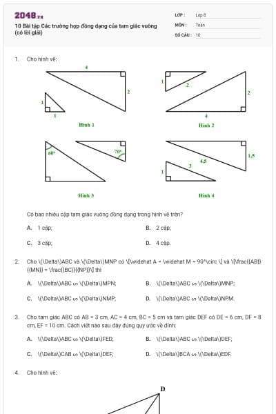 10 Bài tập Các trường hợp đồng dạng của tam giác vuông (có lời giải)