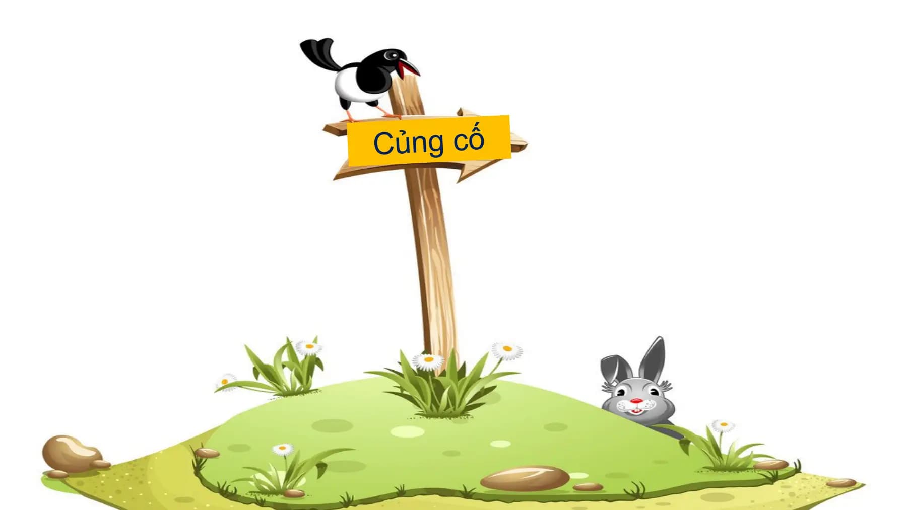 Củng cố