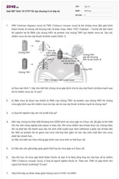 Giải SBT Sinh 10 CTST Ôn tập chương 6 có đáp án