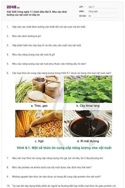Giải SGK Công nghệ 11 Cánh diều Bài 8. Nhu cầu dinh dưỡng của vật nuôi có đáp án