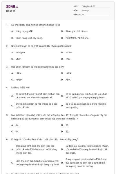 Đề số 29