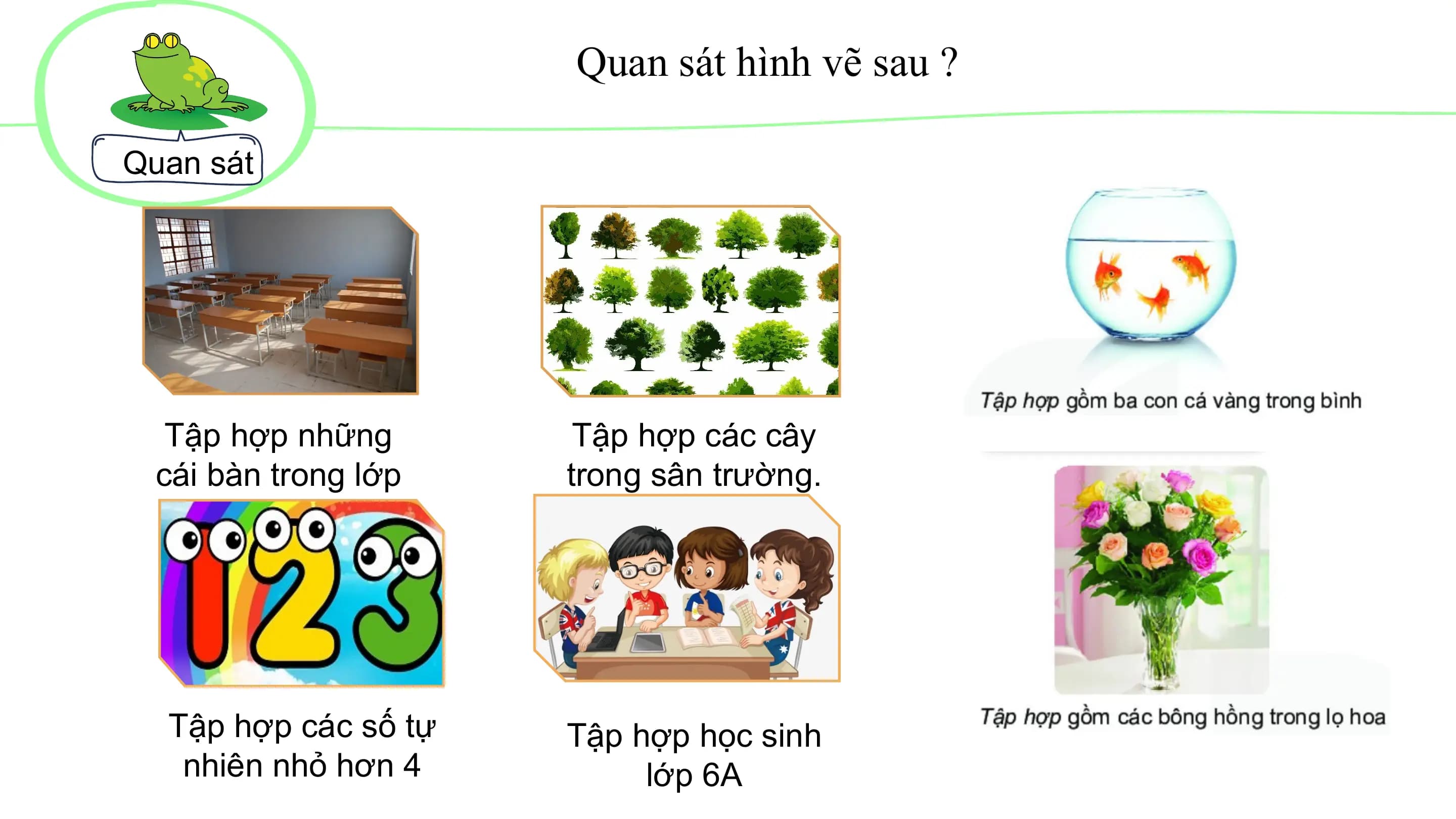 Quan sát hình vẽ sau ?
Quan sát
Tập hợp những Tập hợp các cây
cái bàn trong lớp trong sân trường.
học
Tập hợp các số tự Tập hợp học sinh
nhiên nhỏ hơn 4 lớp 6A