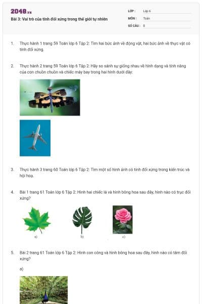 Bài 3: Vai trò của tính đối xứng trong thế giới tự nhiên