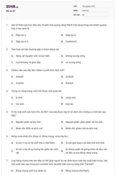 Đề số 27