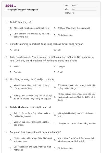 Trắc nghiệm: Tổng kết về ngữ pháp