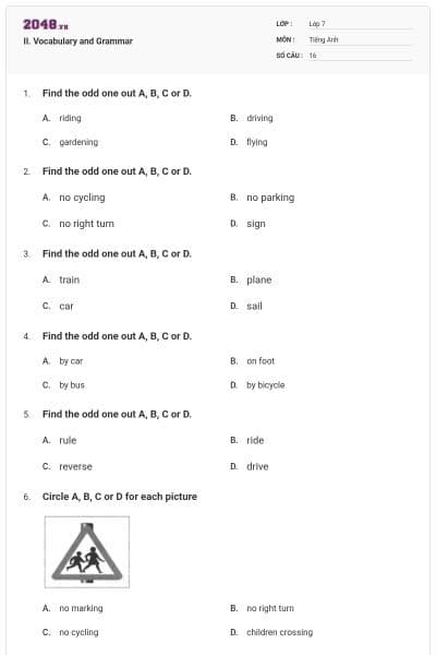 II. Vocabulary and Grammar