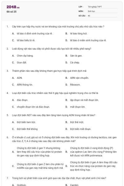 Đề số 25