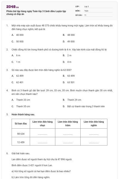 Phiếu bài tập hàng ngày Toán lớp 3 Cánh diều Luyện tập chung có đáp án