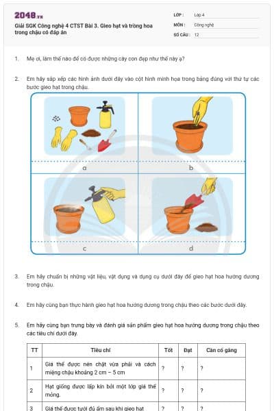 Giải SGK Công nghệ 4 CTST Bài 3. Gieo hạt và trồng hoa trong chậu có đáp án