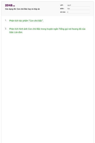 Các dạng đề: Con chó Bấc hay có đáp án