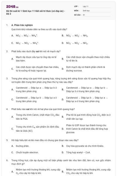 Đề thi cuối kì 1 Sinh học 11 Kết nối tri thức (có đáp án) - Đề 3