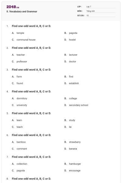 II. Vocabulary and Grammar