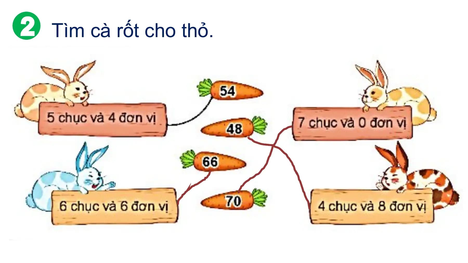 Tìm cà rốt cho thỏ.