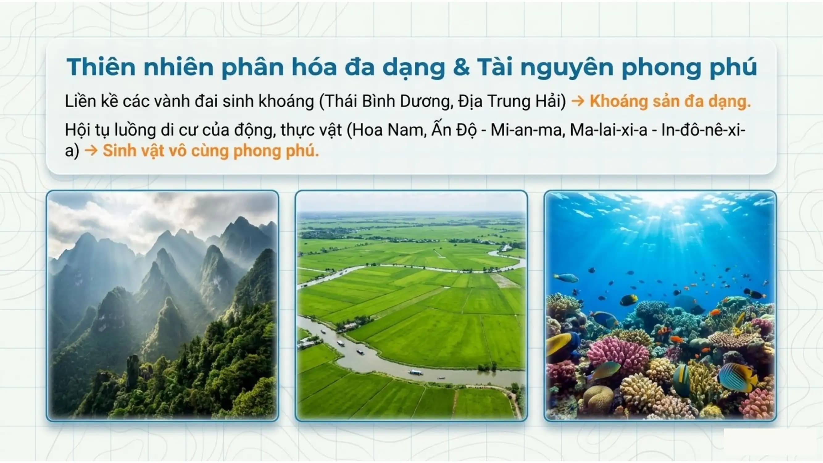 Nội dung nhập