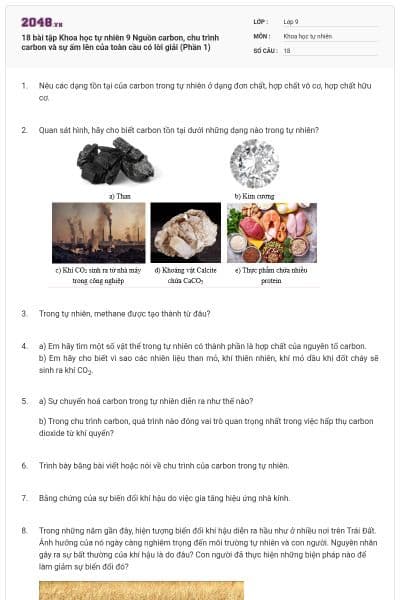 18 bài tập Khoa học tự nhiên 9 Nguồn carbon, chu trình carbon và sự ấm lên của toàn cầu có lời giải (Phần 1)