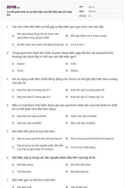 Cơ chế phát sinh và sự biểu hiện của đột biến gen (Có đáp án)