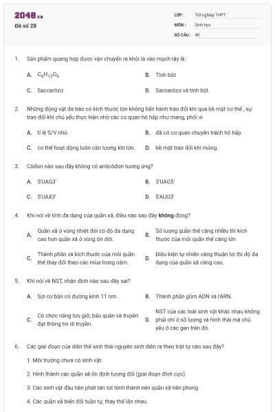 Đề số 28