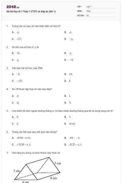 Đề thi Học kì 1 Toán 7 CTST có đáp án (Đề 1)