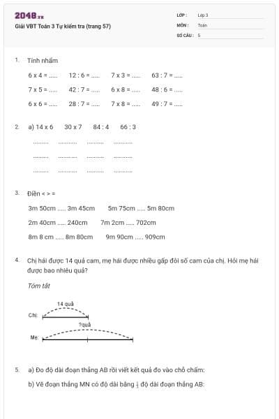 Giải VBT Toán 3 Tự kiểm tra (trang 57)